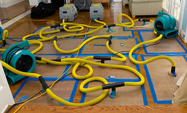 Professional Crawl Space Water Removal technician working in Saugus, MA